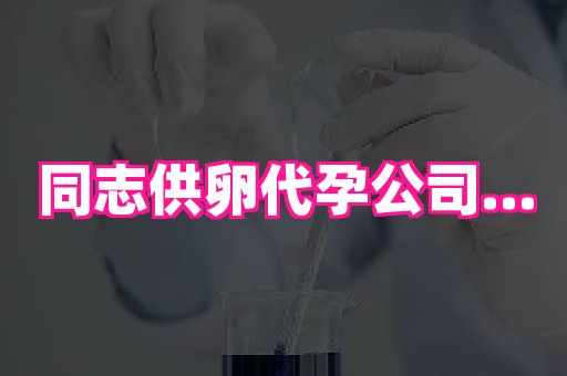 61助孕网 1