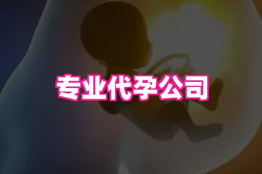 61助孕网 2