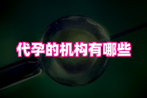 61助孕网 3